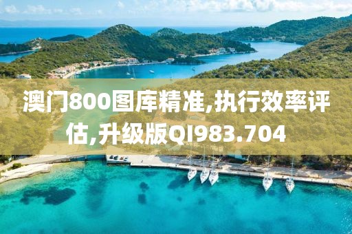 澳门800图库精准,执行效率评估,升级版QI983.704