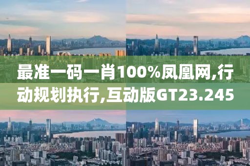 最准一码一肖100%凤凰网,行动规划执行,互动版GT23.245