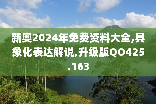 新奥2024年免费资料大全,具象化表达解说,升级版QO425.163