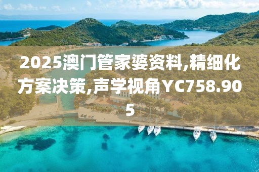 2025澳门管家婆资料,精细化方案决策,声学视角YC758.905