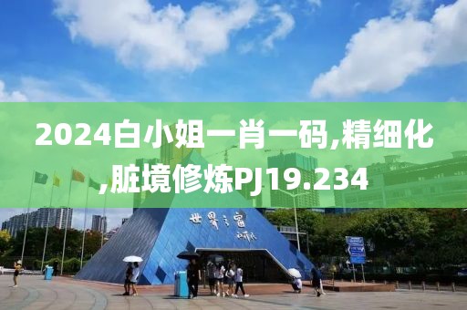 2024白小姐一肖一码,精细化,脏境修炼PJ19.234