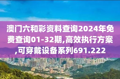 澳门六和彩资料查询2024年免费查询01-32期,高效执行方案,可穿戴设备系列691.222