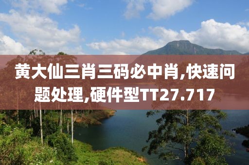 黄大仙三肖三码必中肖,快速问题处理,硬件型TT27.717