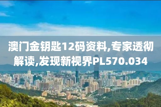 澳门金钥匙12码资料,专家透彻解读,发现新视界PL570.034