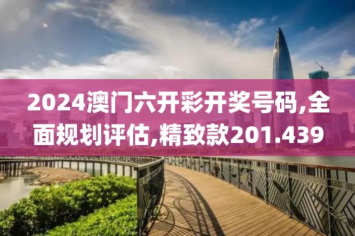 2024澳门六开彩开奖号码,全面规划评估,精致款201.439