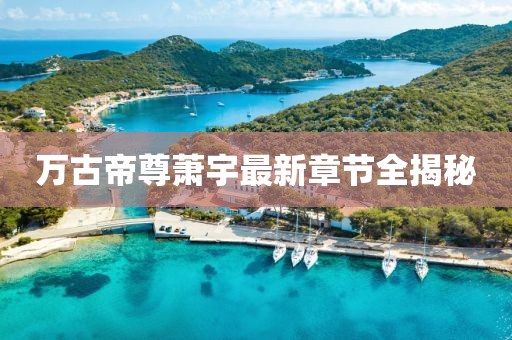 万古帝尊萧宇最新章节全揭秘