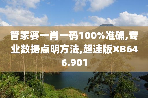 管家婆一肖一码100%准确,专业数据点明方法,超速版XB646.901