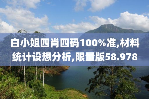 白小姐四肖四码100%准,材料统计设想分析,限量版58.978