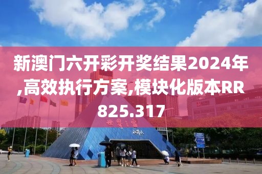 新澳门六开彩开奖结果2024年,高效执行方案,模块化版本RR825.317