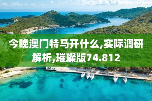 今晚澳门特马开什么,实际调研解析,璀璨版74.812