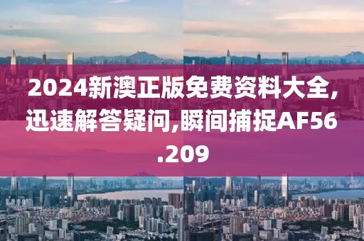 2024新澳正版免费资料大全,迅速解答疑问,瞬间捕捉AF56.209