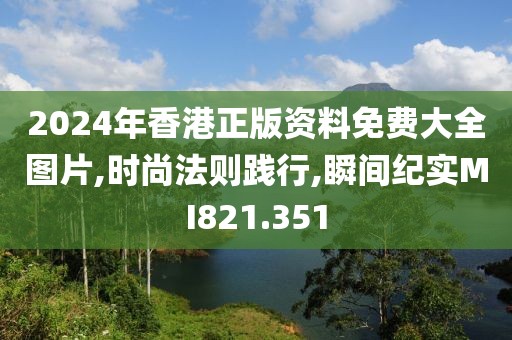2024年香港正版资料免费大全图片,时尚法则践行,瞬间纪实MI821.351