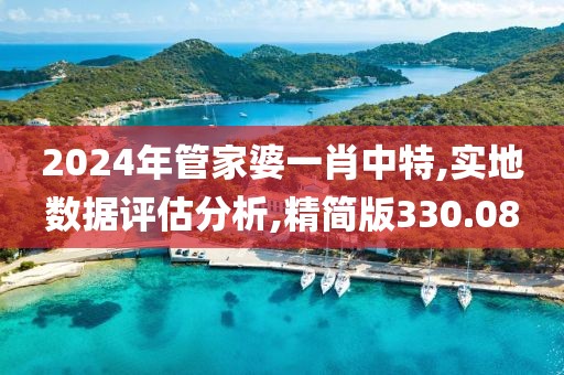 2024年管家婆一肖中特,实地数据评估分析,精简版330.08