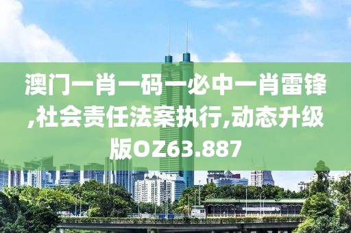 澳门一肖一码一必中一肖雷锋,社会责任法案执行,动态升级版OZ63.887