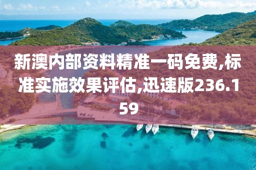 新澳内部资料精准一码免费,标准实施效果评估,迅速版236.159