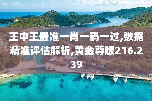 王中王最准一肖一码一过,数据精准评估解析,黄金尊版216.239