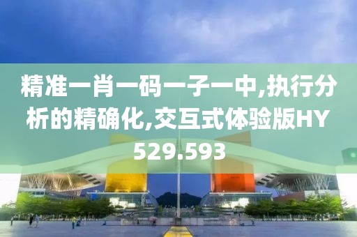 精准一肖一码一子一中,执行分析的精确化,交互式体验版HY529.593