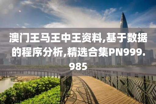 澳门王马王中王资料,基于数据的程序分析,精选合集PN999.985