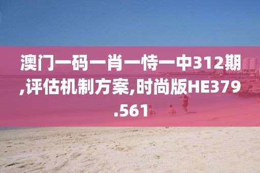澳门一码一肖一恃一中312期,评估机制方案,时尚版HE379.561