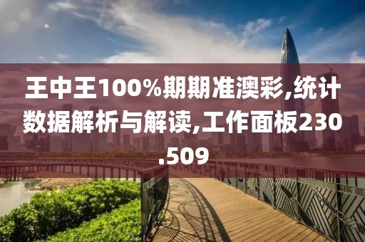 王中王100%期期准澳彩,统计数据解析与解读,工作面板230.509
