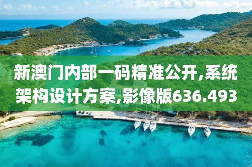 新澳门内部一码精准公开,系统架构设计方案,影像版636.493