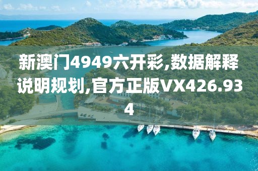新澳门4949六开彩,数据解释说明规划,官方正版VX426.934