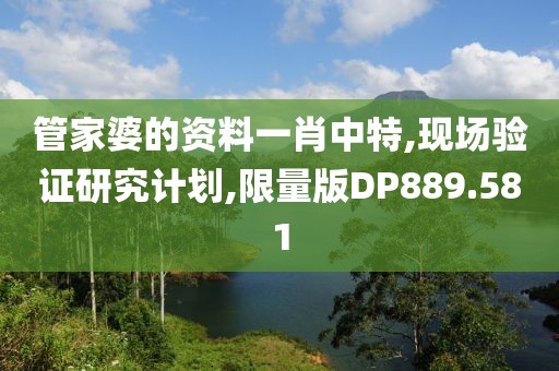 管家婆的资料一肖中特,现场验证研究计划,限量版DP889.581