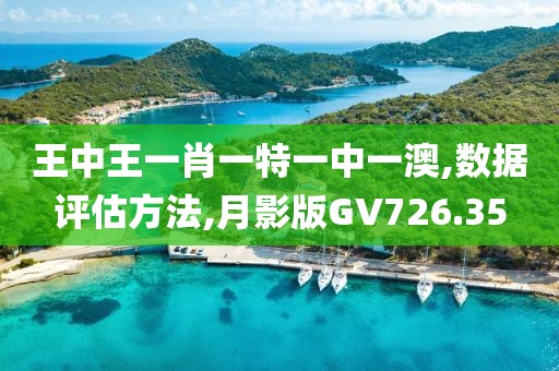 王中王一肖一特一中一澳,数据评估方法,月影版GV726.35