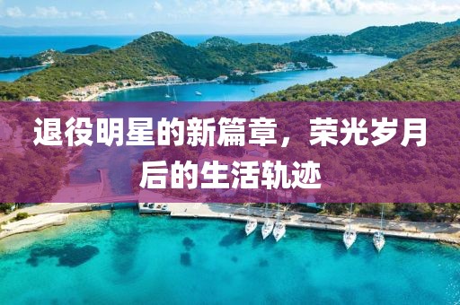 退役明星的新篇章，荣光岁月后的生活轨迹