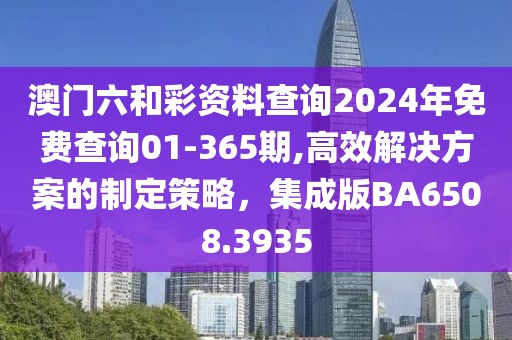 澳门六和彩资料查询2024年免费查询01-365期,高效解决方案的制定策略，集成版BA6508.3935