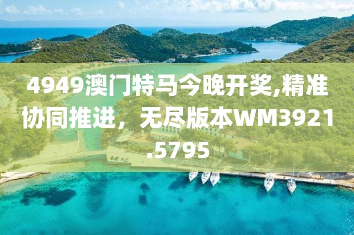 4949澳门特马今晚开奖,精准协同推进，无尽版本WM3921.5795
