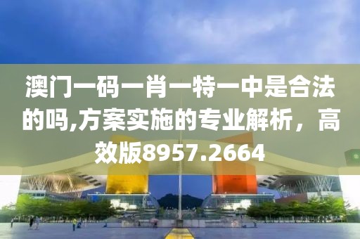 澳门一码一肖一特一中是合法的吗,方案实施的专业解析，高效版8957.2664
