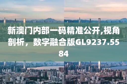新澳门内部一码精准公开,视角剖析，数字融合版GL9237.5584