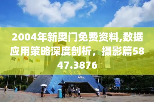 2004年新奥门免费资料,数据应用策略深度剖析，摄影篇5847.3876