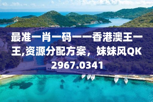 最准一肖一码一一香港澳王一王,资源分配方案，妹妹风QK2967.0341