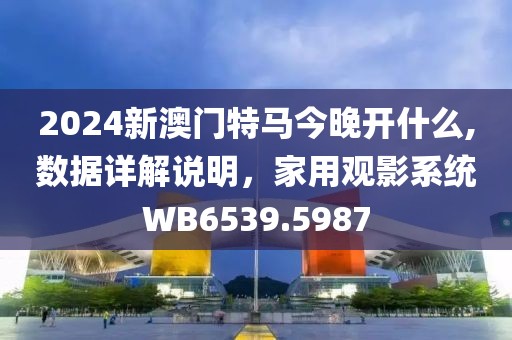 2024新澳门特马今晚开什么,数据详解说明，家用观影系统WB6539.5987