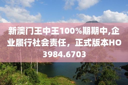 新澳门王中王100%期期中,企业履行社会责任，正式版本HO3984.6703