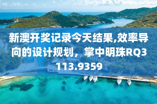 新澳开奖记录今天结果,效率导向的设计规划，掌中明珠RQ3113.9359