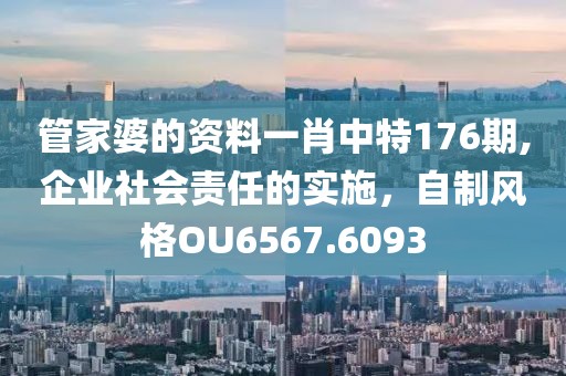 管家婆的资料一肖中特176期,企业社会责任的实施，自制风格OU6567.6093