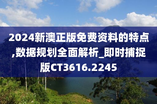 2024新澳正版免费资料的特点,数据规划全面解析_即时捕捉版CT3616.2245