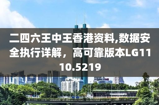 二四六王中王香港资料,数据安全执行详解，高可靠版本LG1110.5219
