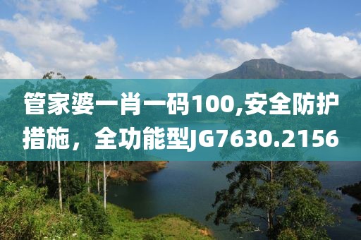管家婆一肖一码100,安全防护措施，全功能型JG7630.2156