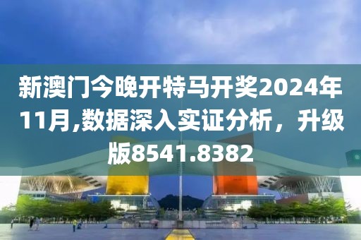 新澳门今晚开特马开奖2024年11月,数据深入实证分析，升级版8541.8382