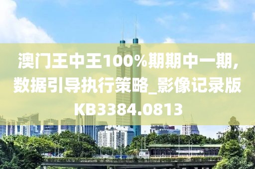澳门王中王100%期期中一期,数据引导执行策略_影像记录版KB3384.0813