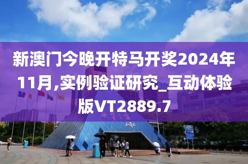 新澳门今晚开特马开奖2024年11月,实例验证研究_互动体验版VT2889.7