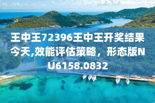王中王72396王中王开奖结果今天,效能评估策略，形态版NU6158.0832