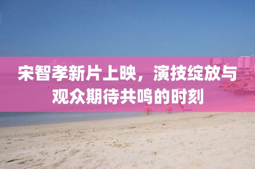 宋智孝新片上映，演技绽放与观众期待共鸣的时刻