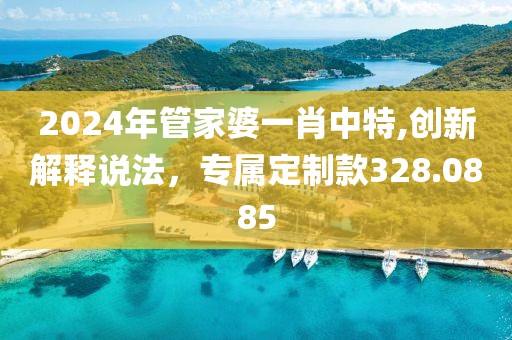 2024年管家婆一肖中特,创新解释说法，专属定制款328.0885