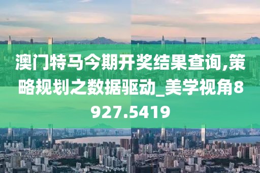 澳门特马今期开奖结果查询,策略规划之数据驱动_美学视角8927.5419