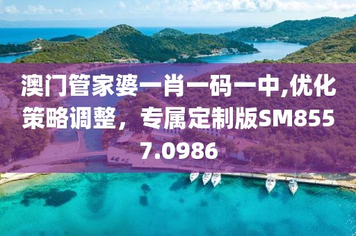 澳门管家婆一肖一码一中,优化策略调整，专属定制版SM8557.0986